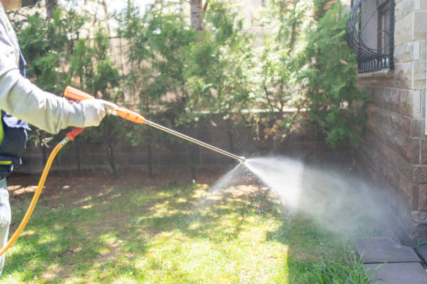 Best Lawn Pest Control  in Hamtramck, MI